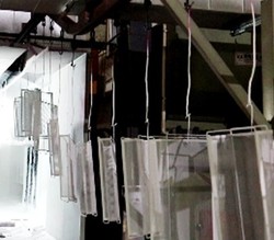 6Spraying 6Spraying
